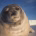 Happy Seal
